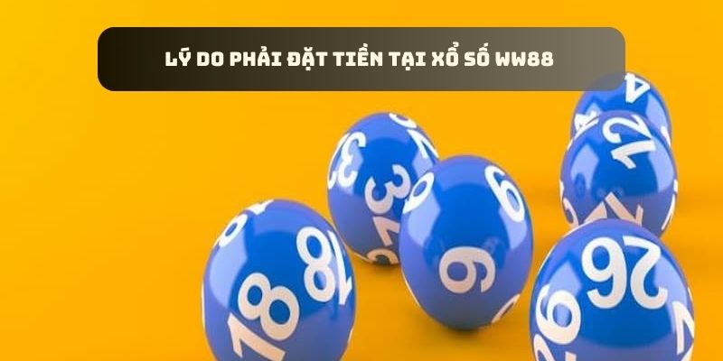 Lý do người chơi phải tham gia xổ số WW88 chứ không phải sân chơi nào khác